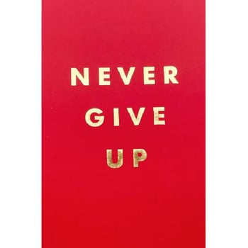 Never Give Up: Summersdale: 9781786859785: : Books