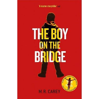 The Boy on The Bridge